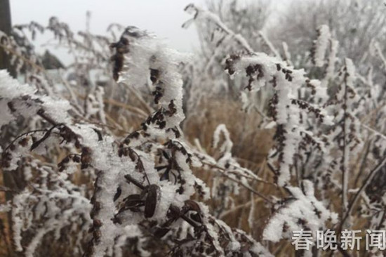 登昆明长虫山 遇见诗情画意的雾凇 登昆明长虫山 遇见诗情画意的雾凇