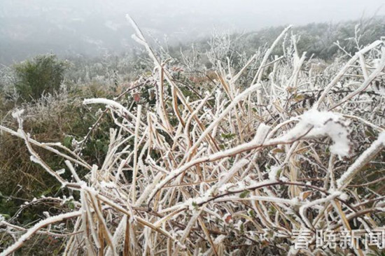 登昆明长虫山 遇见诗情画意的雾凇 登昆明长虫山 遇见诗情画意的雾凇