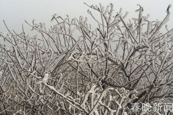 登昆明长虫山 遇见诗情画意的雾凇 登昆明长虫山 遇见诗情画意的雾凇