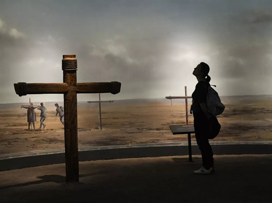 重磅丨2017新华社年度照片精选