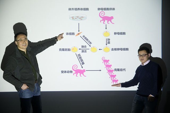 世界生命科学重大突破 两只克隆猴在中国诞生