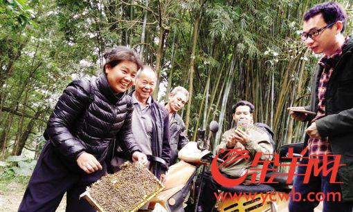 【中国梦·践行者】她是都市小蜜蜂 身残志坚“酿造”甜蜜生活 【中国梦·践行者】她是都市小蜜蜂 身残志坚“酿造”甜蜜生活