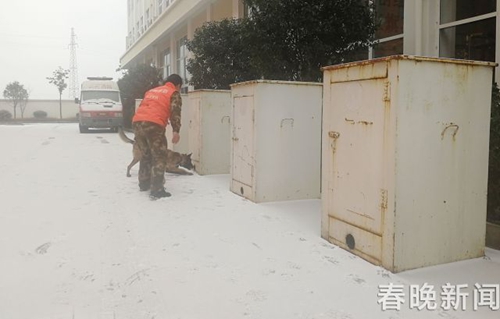 消防队搜救犬不一般 冰天雪地苦练功