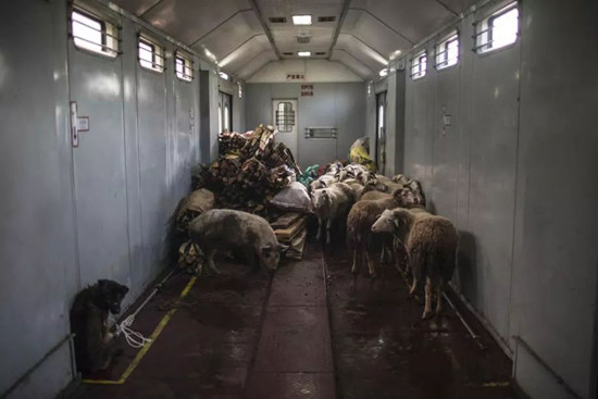 穿行大凉山的慢火车:票价低至两元 穿行大凉山的慢火车:票价低至两元