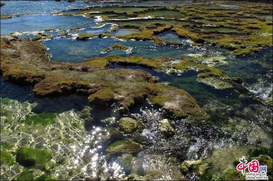 甘孜雅砻江畔 感受湿地的壮阔之美