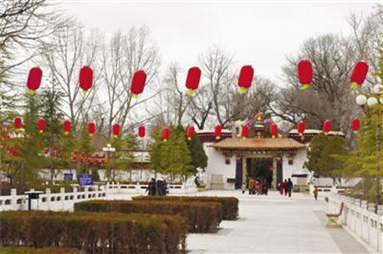 【盘点】藏地“双节”年味浓，雪域如何庆新春？