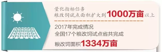 粮改饲优化种养结构