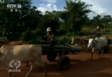 领航(五)构建人类命运共同体 领航(五)构建人类命运共同体