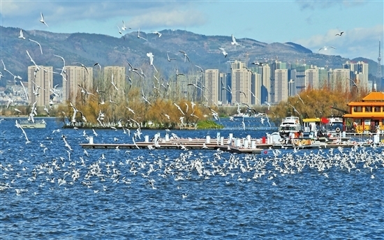 三省全国代表委员共话河长制:滇池与湘江太湖的“对话” 三省全国代表委员共话河长制:滇池与湘江太湖的“对话”