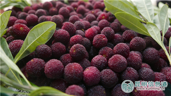 探索智慧旅游服务新模式 “富民旅游”平台上线