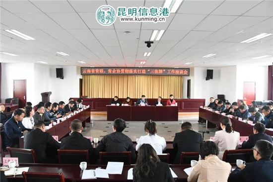 云南如何打好“三张牌”？ 省青联委员和青企协会员建言献策