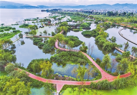 星云湖生态湿地成美景 星云湖生态湿地成美景