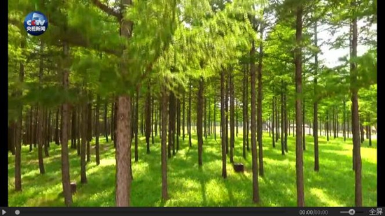 央视推出微视频《美丽中国说》