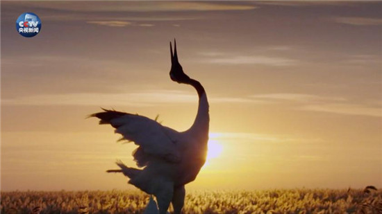 央视原创时政微视频丨美丽中国说