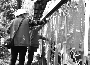 黑龙潭公园举行第三届龙王会 1.5万市民入园