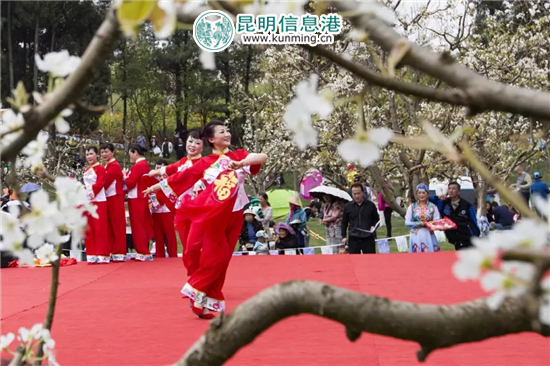 昆明高新区2018年第四届秋木箐梨花节隆重启幕