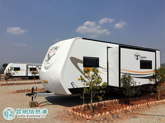 昆明林下经济产值达35亿元 卧云山上种有世界最大最香茶花 昆明林下经济产值达35亿元 卧云山上种有世界最大最香茶花