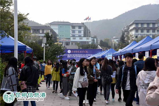 云南省2018年高职高专医药类毕业生双向选择洽谈会举行 云南省2018年高职高专医药类毕业生双向选择洽谈会举行