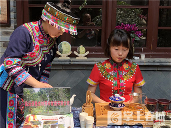 云南2018年春茶上市 部分企业已出定价 云南2018年春茶上市 部分企业已出定价