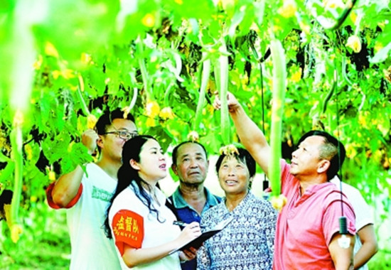 江西省德兴市张村乡纪委成立了8个乡村流动监督队,对各村帮扶干部、作风建设等情况进行监督。图为流动监督队在张村乡界田村蔬菜大棚基地了解产业帮扶情况。卓忠伟摄/光明图片 江西省德兴市张村乡纪委成立了8个乡村流动监督队,对各村帮扶干部、作风建设等情况进行监督。图为流动监督队在张村乡界田村蔬菜大棚基地了解产业帮扶情况。卓忠伟摄/光明图片