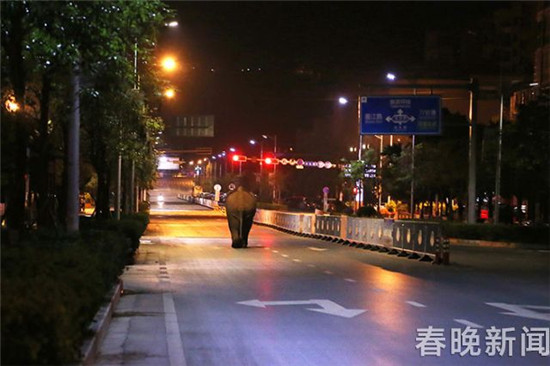 野象深夜在普洱街道上逆行还闯红灯