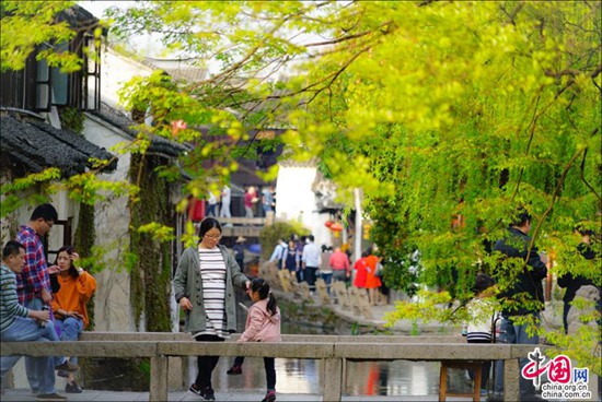 烟花三月晴空下的周庄 迷醉在江南春色里