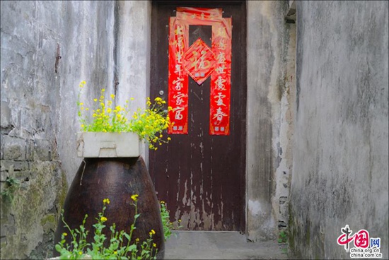 烟花三月晴空下的周庄 迷醉在江南春色里 烟花三月晴空下的周庄 迷醉在江南春色里