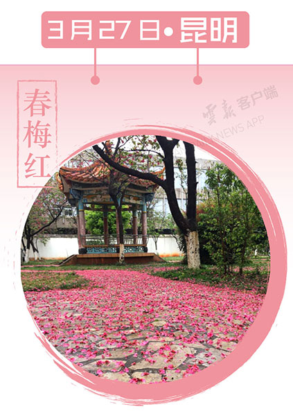 当云南春色遇到中国传统颜色 到底哪一“色”最撩你心? 当云南春色遇到中国传统颜色 到底哪一“色”最撩你心?