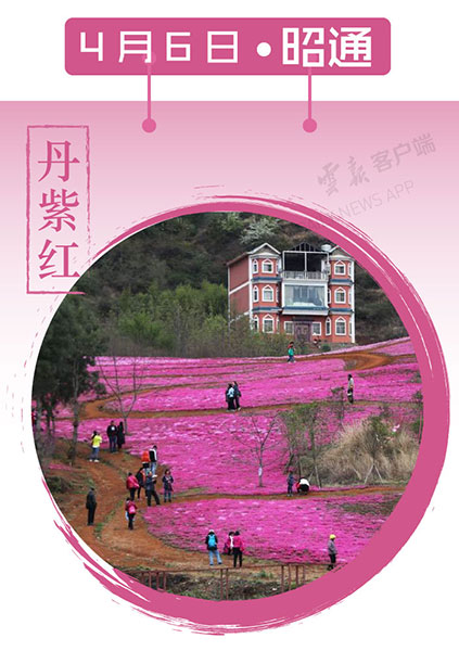 当云南春色遇到中国传统颜色 到底哪一“色”最撩你心? 当云南春色遇到中国传统颜色 到底哪一“色”最撩你心?