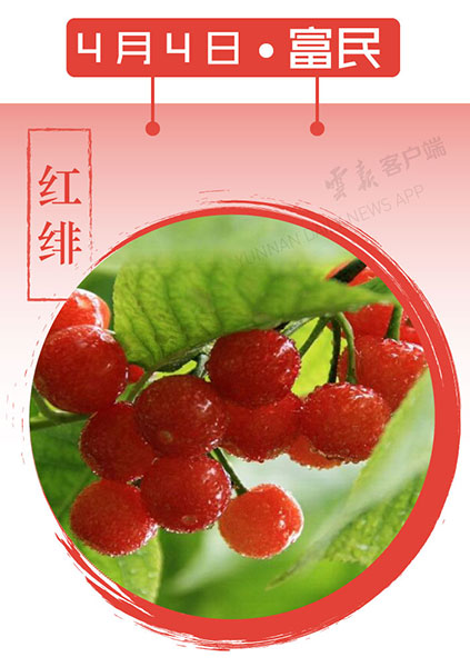 当云南春色遇到中国传统颜色 到底哪一“色”最撩你心? 当云南春色遇到中国传统颜色 到底哪一“色”最撩你心?