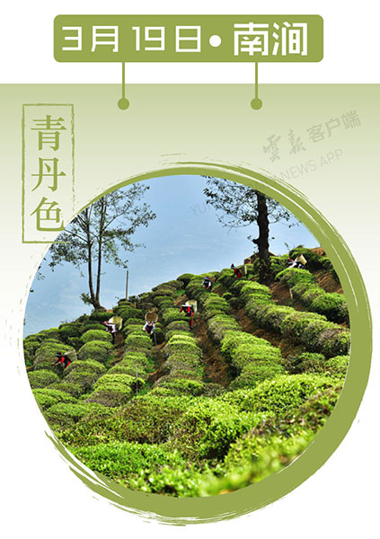 当云南春色遇到中国传统颜色 到底哪一“色”最撩你心? 当云南春色遇到中国传统颜色 到底哪一“色”最撩你心?