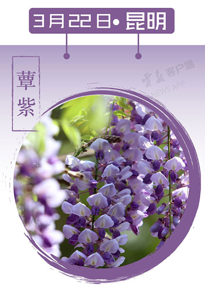 当云南春色遇到中国传统颜色 到底哪一“色”最撩你心? 当云南春色遇到中国传统颜色 到底哪一“色”最撩你心?