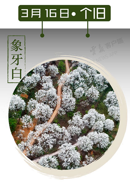 当云南春色遇到中国传统颜色 到底哪一“色”最撩你心? 当云南春色遇到中国传统颜色 到底哪一“色”最撩你心?