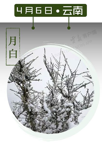 当云南春色遇到中国传统颜色 到底哪一“色”最撩你心? 当云南春色遇到中国传统颜色 到底哪一“色”最撩你心?