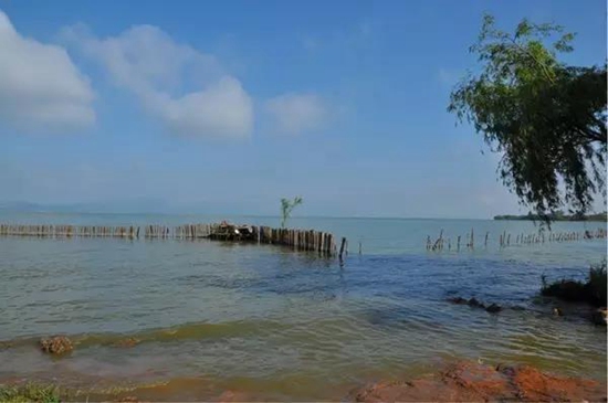 明年昆明将开通'水上巴士' 四个码头可上船 明年昆明将开通'水上巴士' 四个码头可上船