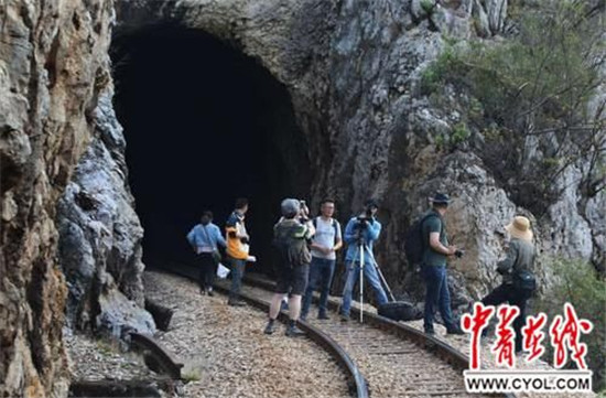 张永宁带学生行走记录滇越铁路 张永宁带学生行走记录滇越铁路