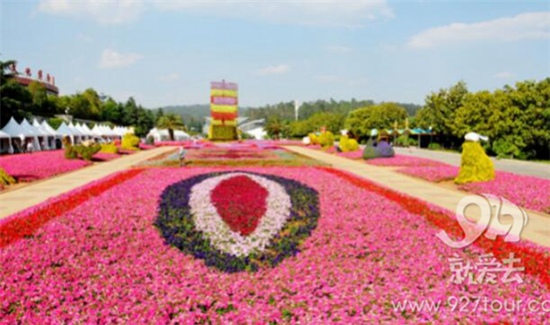 跑步游玩表白全不误 欢乐跑中国10公里锦标赛·昆明站5月20日开跑 跑步游玩表白全不误 欢乐跑中国10公里锦标赛·昆明站5月20日开跑