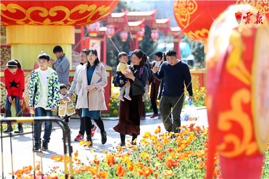 云南旅游“刮骨疗伤”这一年 记者 陈飞/摄 云南旅游“刮骨疗伤”这一年 记者 陈飞/摄
