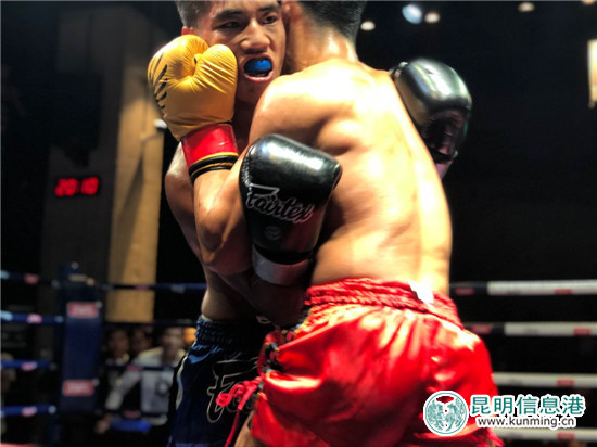 两名拳手正在激烈对抗。记者马文焘摄