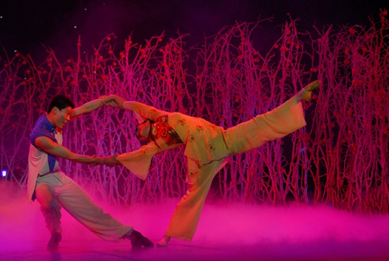 《一把酸枣》双人舞