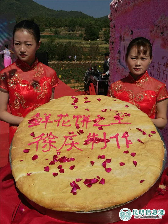 安宁八街9700亩玫瑰花热情绽放 邀你去当“采花大盗”