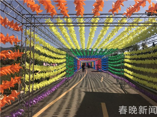 安宁八街芬芳之旅开启 来吸一口玫瑰的芳香吧