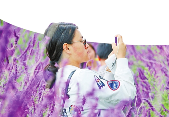 40余家中央及地方重点网络媒体走进曲靖 聚焦发展变化