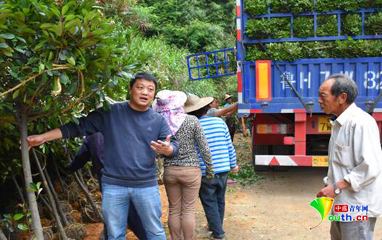 曾守福在道路景观改造项目现场和乡亲们一起卸苗木。图片来源:中国青年网 曾守福在道路景观改造项目现场和乡亲们一起卸苗木。图片来源:中国青年网