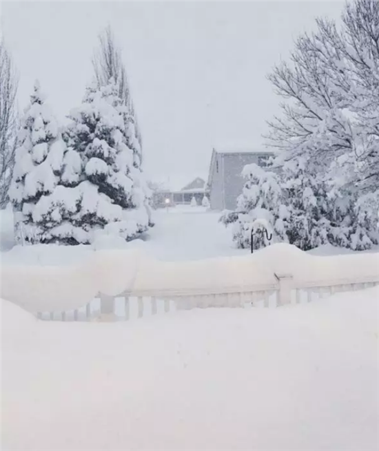 北美人民在暴风雪里快扛不住了 北美人民在暴风雪里快扛不住了