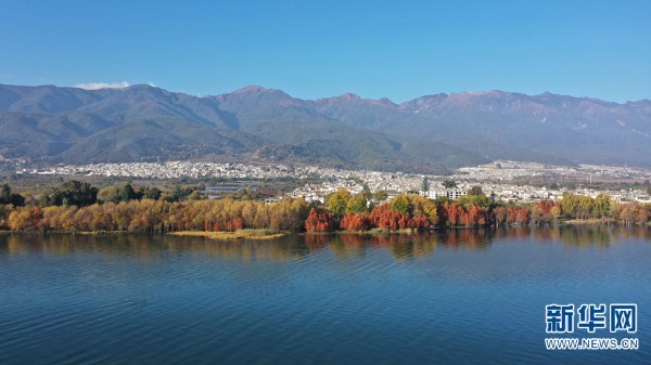 1310296279_16362811925611n_gaitubao_600x337