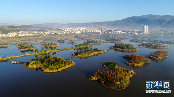 1310296279_16362811926311n_gaitubao_600x337