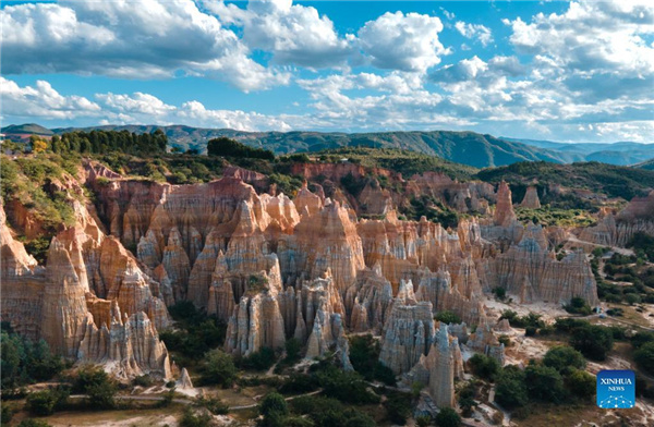 1310317427_16371913470801n