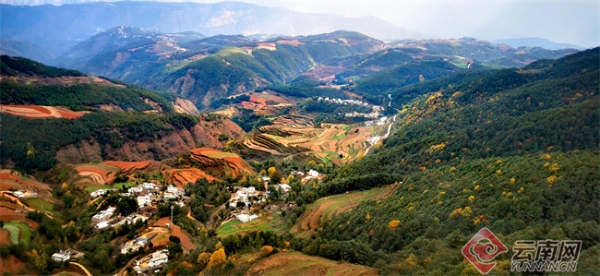 00304729958_f3afa310