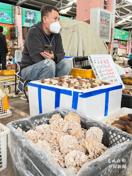 大量上市！价格跳水！昆明人敞开吃野生菌的时机终于到了！（开屏新闻记者 杨质高 摄） (2)